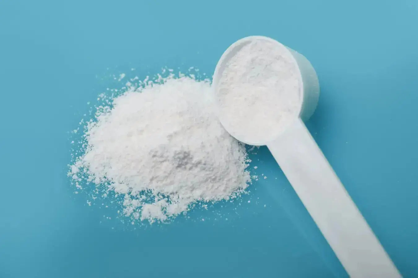 Creatine Explained Muscle Department