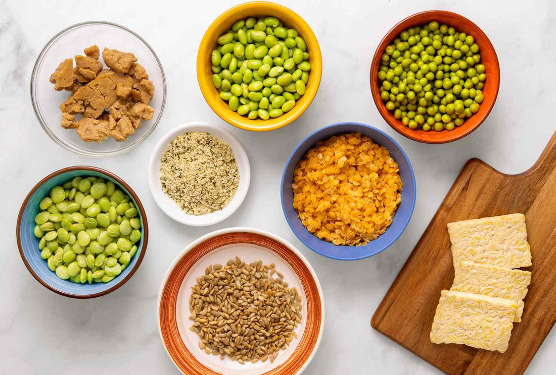 Can you Build Muscle with a Plant based Diet? Muscle Department