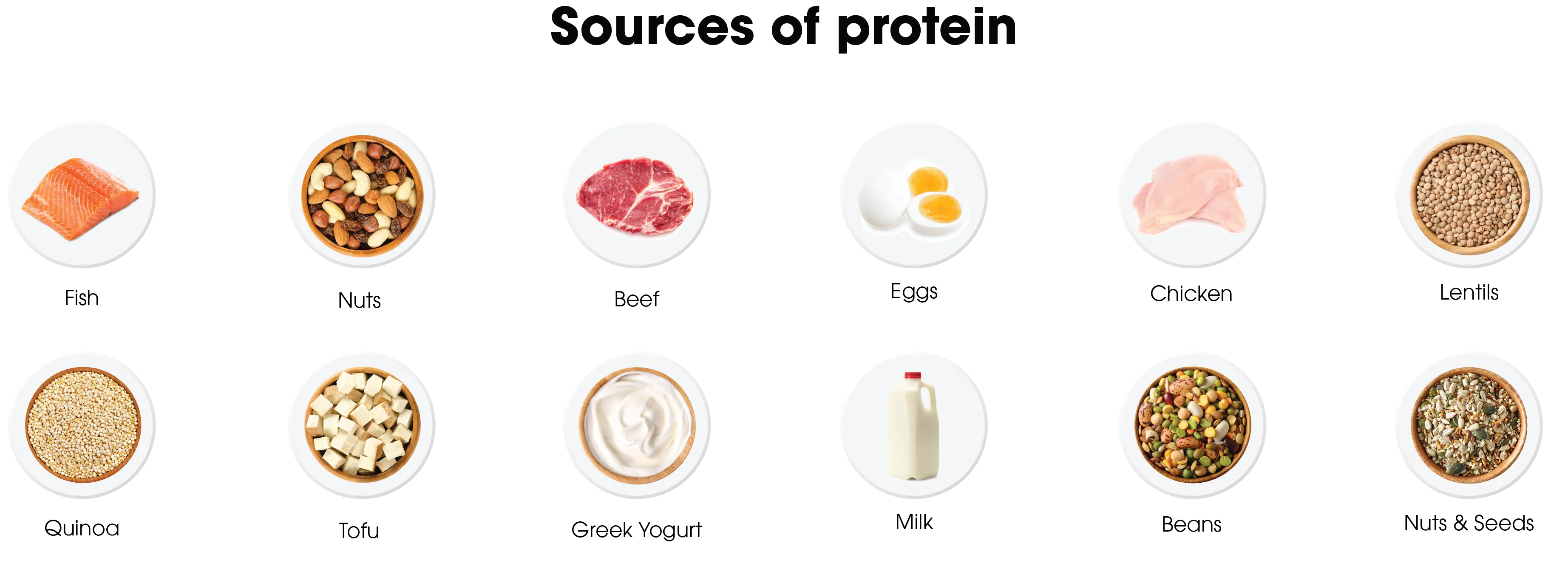 Meeting Your Daily Protein Requirement Muscle Department