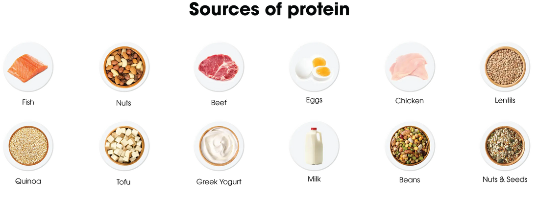 Meeting Your Daily Protein Requirement Muscle Department