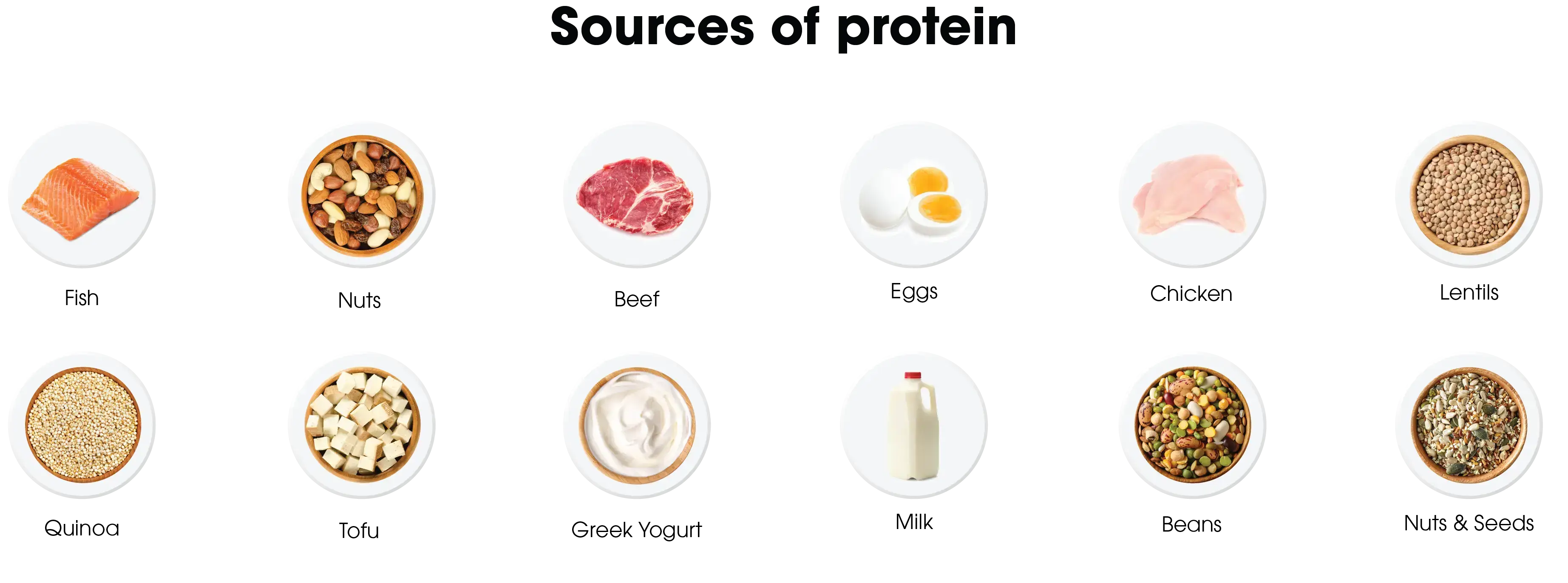 Meeting Your Daily Protein Requirement Muscle Department