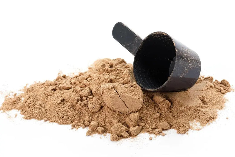 The Power of Whey Protein Muscle Department