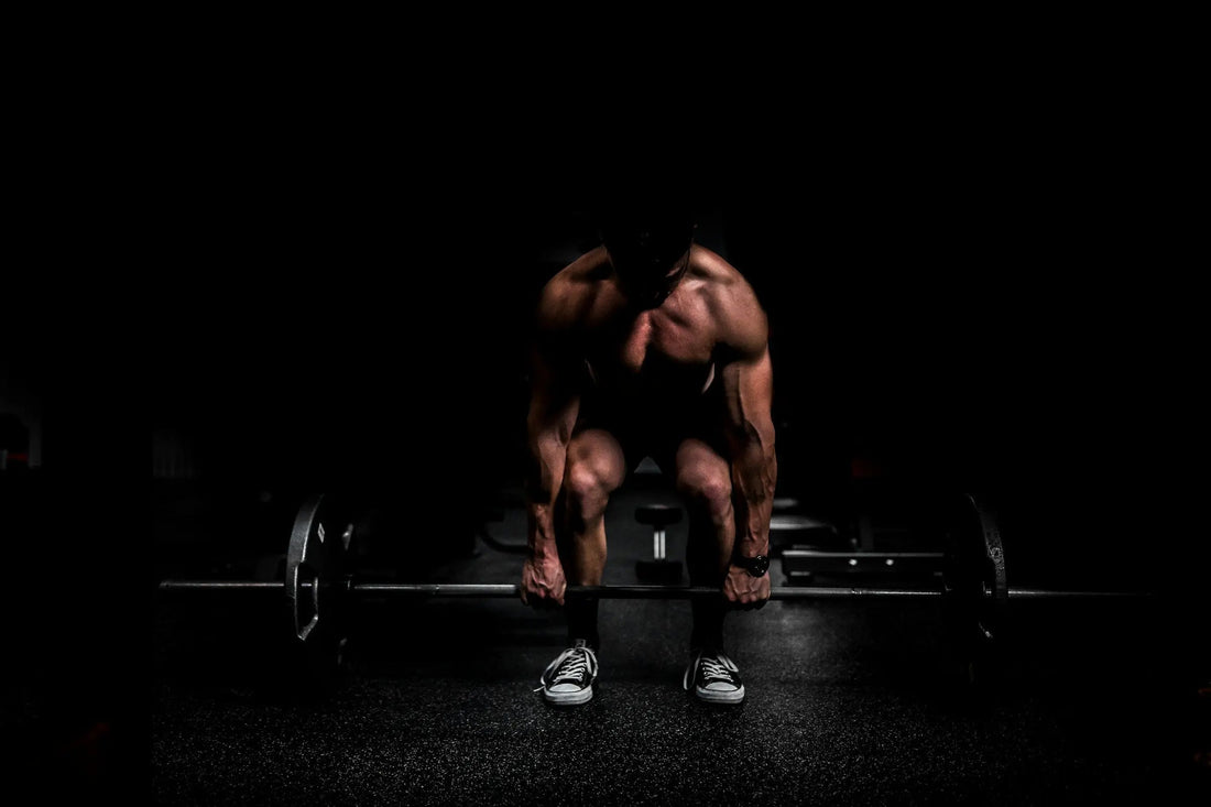 Morning Vs Night Workouts Muscle Department