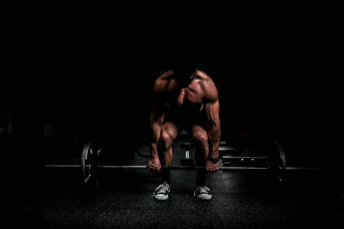 Morning Vs Night Workouts Muscle Department