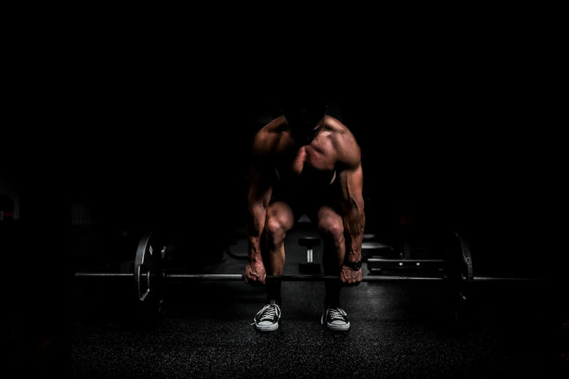 Morning Vs Night Workouts Muscle Department