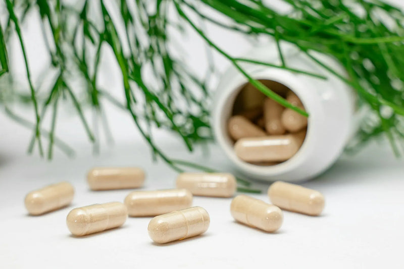 The Ultimate Guide to Omega-3, Vitamin D3, and K2 Benefits & Usage Muscle Department