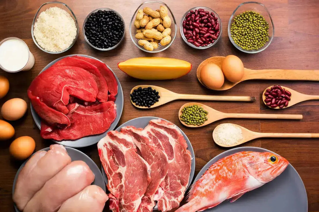 Best Muscle Building Foods Muscle Department