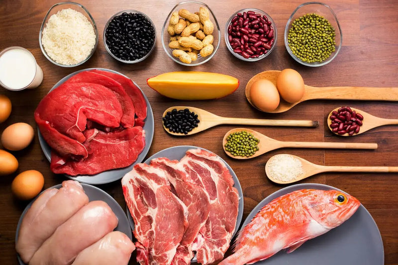 Protein Types and Their Differences Muscle Department