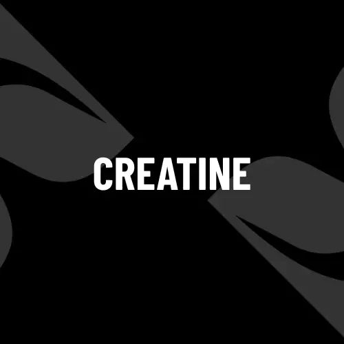 Creatine Muscle Department