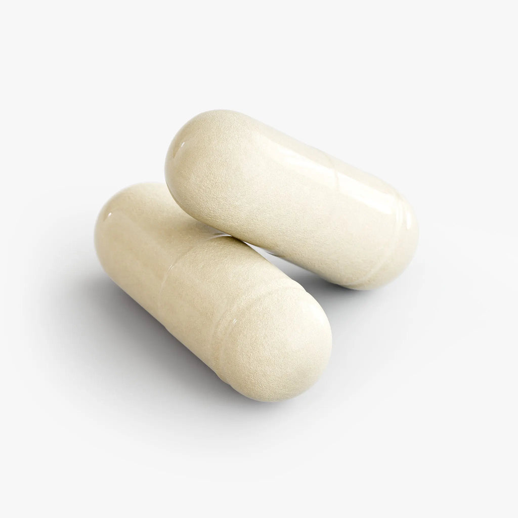 Probiotics 20 Billion CFU Capsules Muscle Department