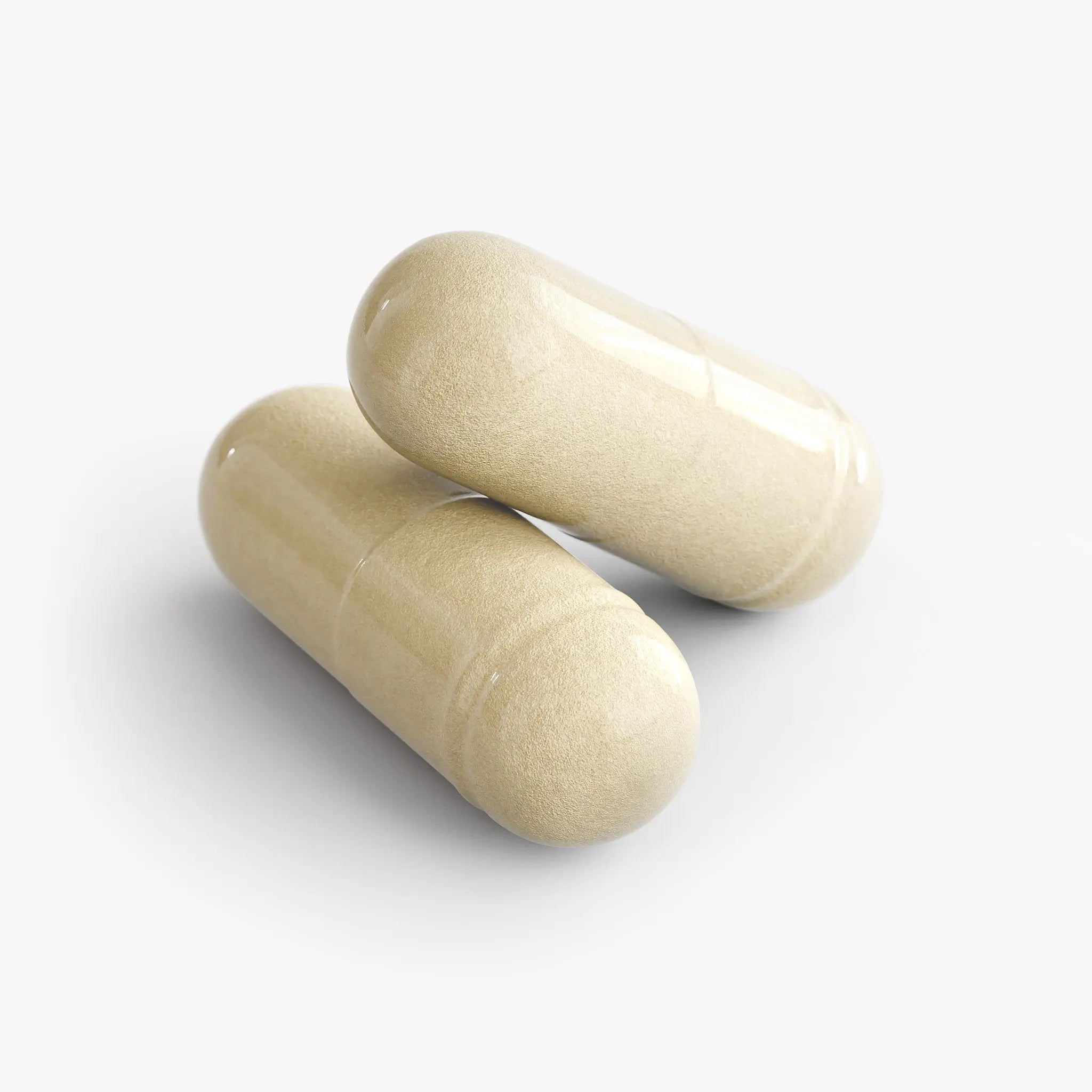 Prebiotic & Probiotic Complex Muscle Department