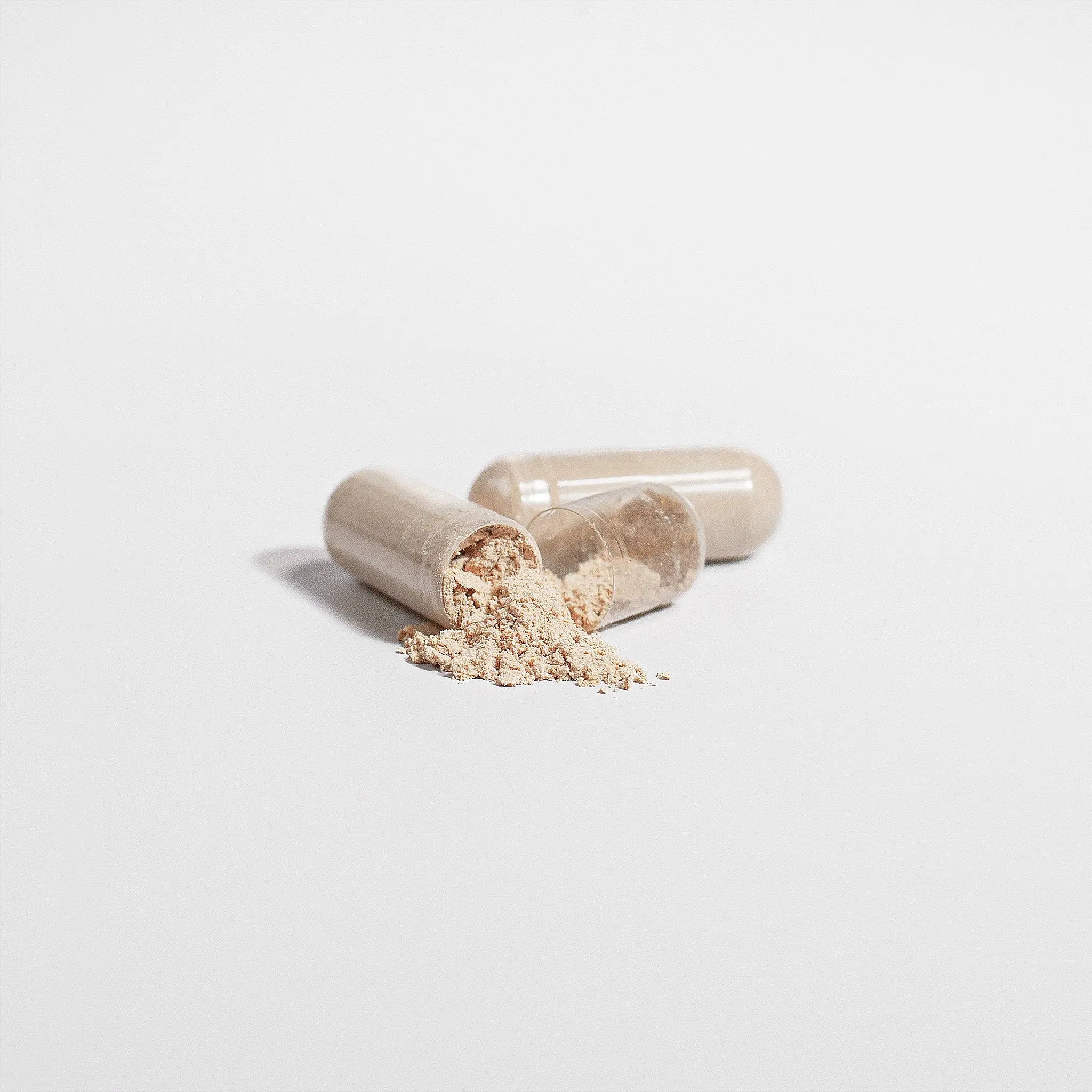 Lion's Mane Mushroom Capsules Muscle Department