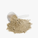 Plant-Based Protein Powder (Vanilla)  Muscle Department