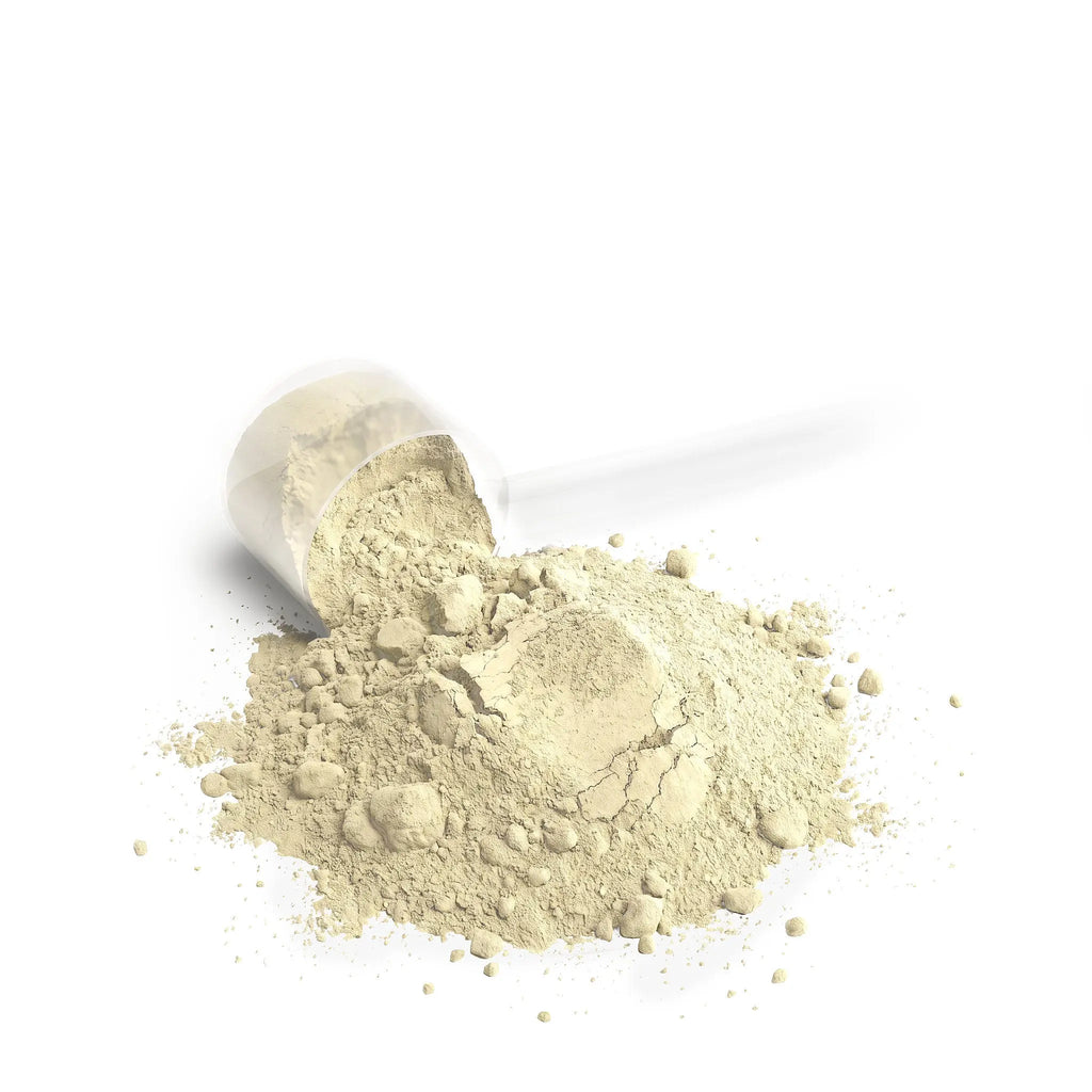 Performance Whey Protein Blend (Vanilla)  Muscle Department